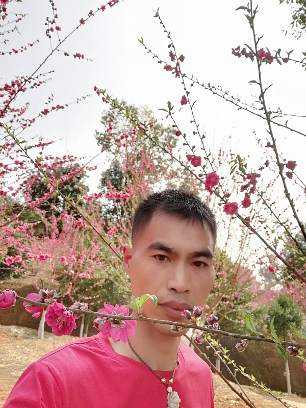 惜緣的第一张照片--深圳相亲服务中心