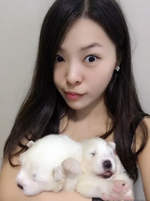如果可以的第三张照片--深圳相亲服务中心