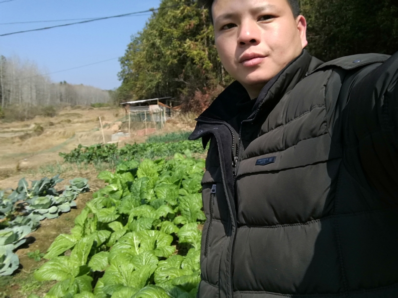 倔强的驴的第一张照片--深圳相亲服务中心