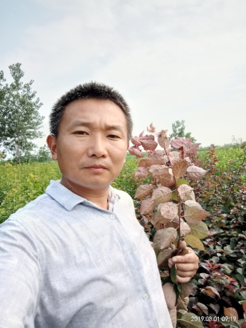 孩子爸的第一张照片--深圳相亲服务中心