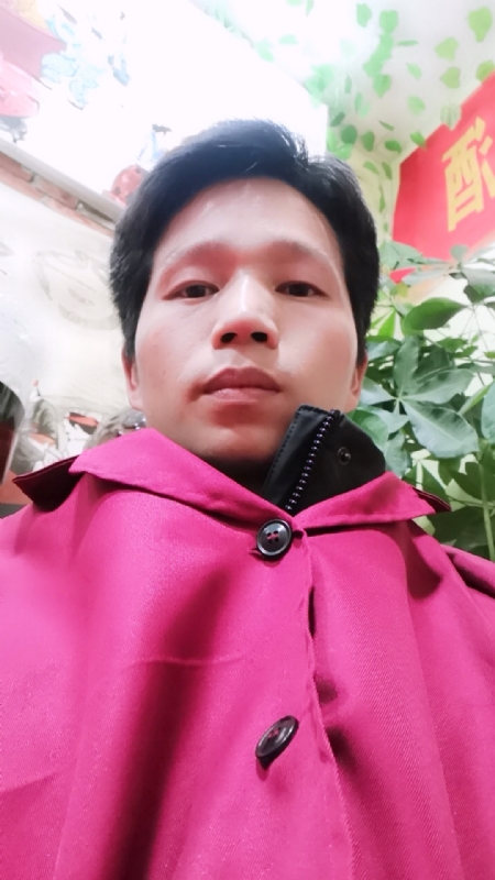 单身的林凡的第一张照片--深圳相亲服务中心
