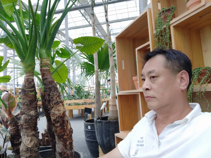davidxy669988的第一张照片--深圳相亲服务中心