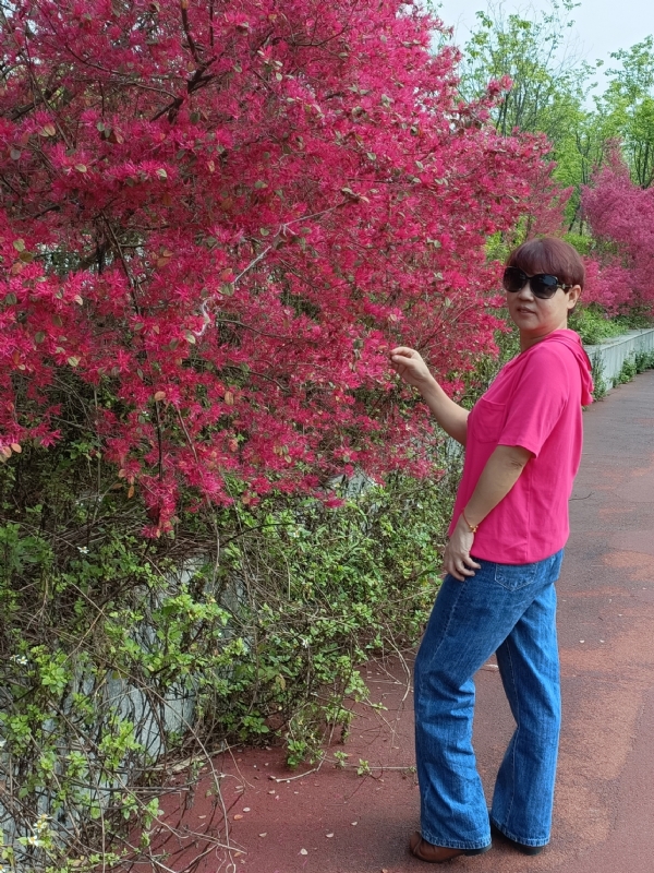 羊羊的第一张照片--深圳相亲服务中心