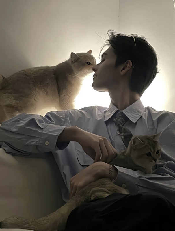 怪猫的第一张照片--深圳相亲服务中心