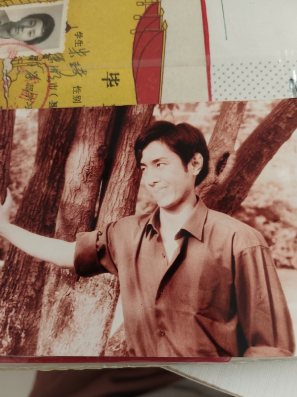 朱琦的第五张照片--深圳相亲服务中心