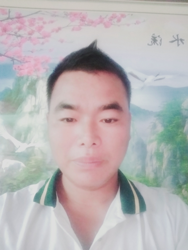 阳光男孩的第二张照片--深圳相亲服务中心