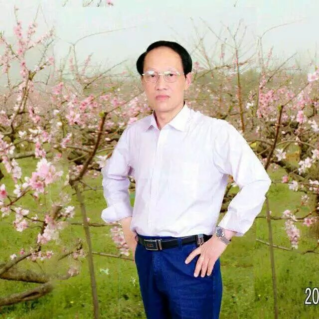 枫叶的第一张照片--深圳相亲服务中心